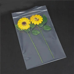 Poly bags Reclosable ZipTop 6x12 2Mil 1000Pcs/Case Ampack